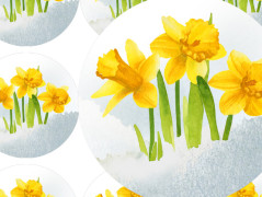 ZAHRADA VONÍCÍ JAREM - pohlednice