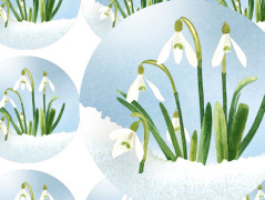 ZAHRADA VONÍCÍ JAREM - pohlednice