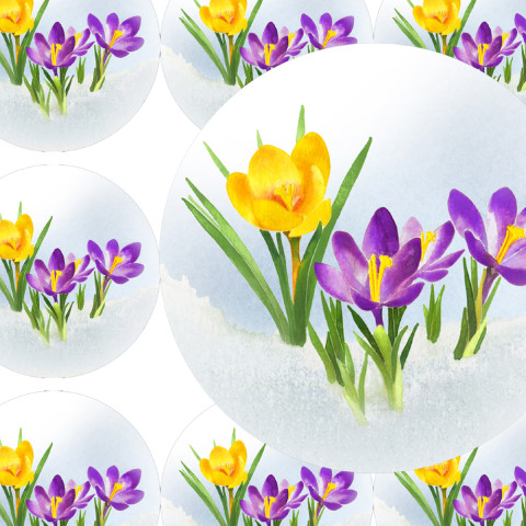 KROKUSY - samolepky zábava sníh květina přání příroda jaro velikonoce diář deník obálka krokus nálepka pohlednice samolepky samolepka 