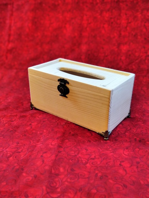 Kapesníkovník - přírodní,základ box krabička kapesníky kapesníkovník 