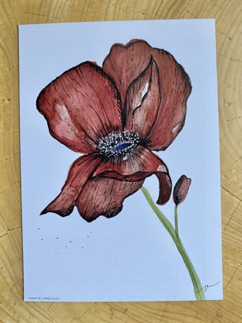 květinová pohlednice květinová pohlednice 
