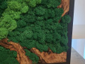 Mechový obraz 30x40 cm