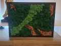Mechový obraz 30x40 cm