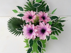 Velkokvěté pelargonie v proutěném