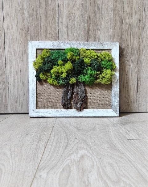 Mechový obrázek - Strom1 dřevo dřevěný dárek obraz zelený příroda přírodní obrázek šedý mechový natural stylový patinovaný nature trvanlivý skandinávský lišejník moos bezúdržbový sverský 