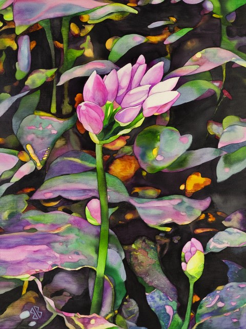 Obraz Růžová bažina zlatá růžová černá obraz na plátně motiv květ 