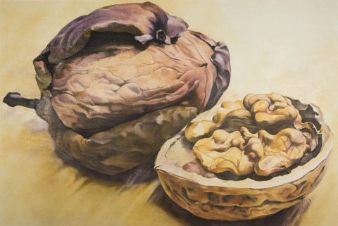 Obraz Ořechy-doteky malba ovoce ořechy doteky pastelové tóny luxusní provedení 