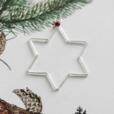 Stříbrná vánoční hvězdička ozdoby vánoce vánoční hvězda stříbrná hvezdička tradice 