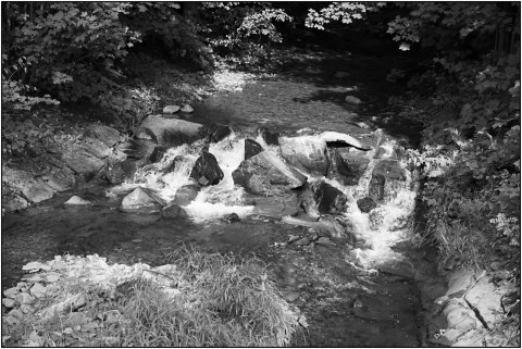 Černobílé fotografie voda příroda pohoří stavba lesy 