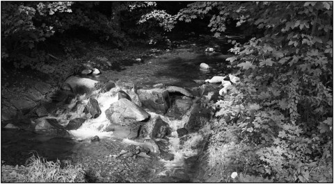 Černobílé fotografie voda příroda pohoří stavba lesy 