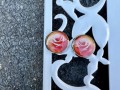 Náušnice - pecky růže