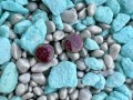 Náušnice - fialové flitry