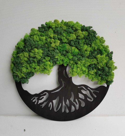 Dřevěný obraz, strom života 40 cm mechová dekorace bonsai strom 
