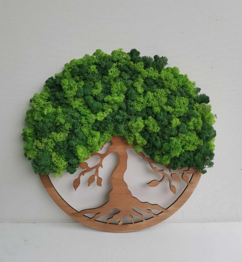 Mechový obraz, strom života, 40 cm mechová dekorace bonsai strom 