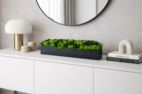 Dekorační blok se stab. mechem mechová dekorace blok truhlík so 