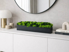 Mechové hodiny 50 cm