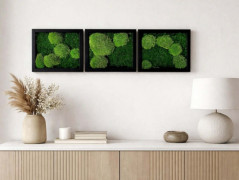 Mechové hodiny 50 cm