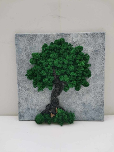 Mechový obraz, strom života, 40x40 mechová dekorace strom života so 