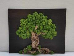 Mechový obraz, strom života, 40x40