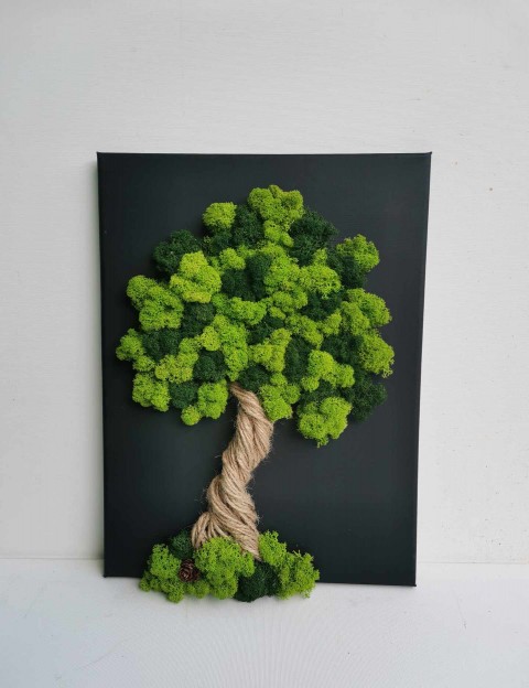 Mechový obraz, strom života, 30x40 dekorace obraz zelený strom života mechový obraz sobí mech mechová dekorace mechový strom 