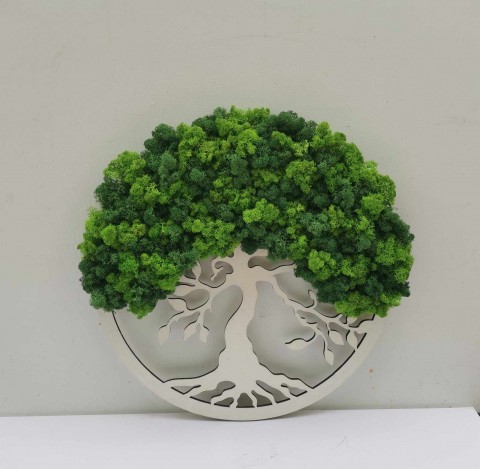 Mechový obraz, strom života, 40 cm mechová dekorace bonsai strom 