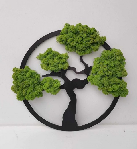Mechová bonsaj, 40 cm strom bonsaj mechový obraz sobí mech mechová dekorace dřevěný obraz 