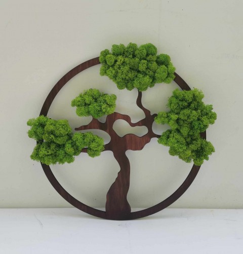 Mechový obraz, bonsaj 40 cm strom bonsaj mechový obraz sobí mech mechová dekorace dřevěný obraz 