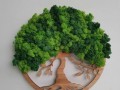 Mechový obraz, strom života, 30 cm