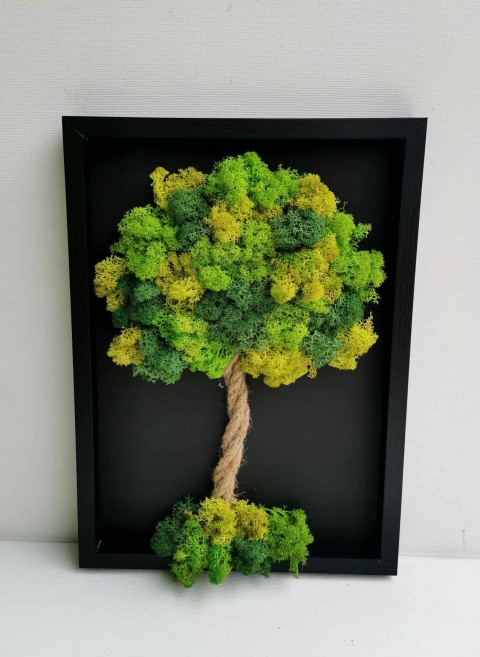 Mechový obraz, strom života, 20x30 mechová dekorace strom života so 