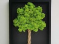 Mechový obraz, strom života, 20x30