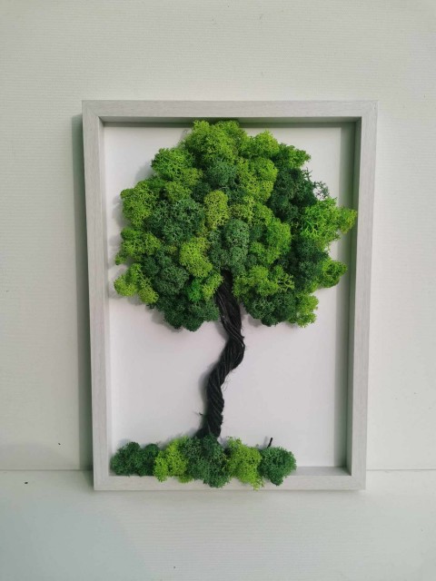 Mechový obraz, strom života, 20x30 mechová dekorace strom života so 