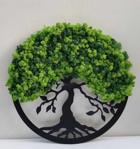 Mechový obraz, strom života, 50 cm mechová dekorace bonsai strom 