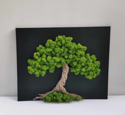 Mechový obraz, strom 40x50 obraz mech strom života mechová dekorace mechový strom 