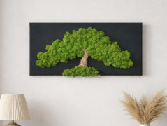 Mechové hodiny 50 cm