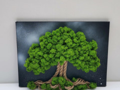 Mechový obraz, strom života, 20x30