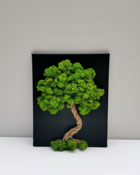 Mechový obrázek 24x30 obraz mech strom života mechová dekorace mechový strom 