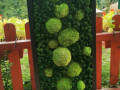 Mechový obraz, 40x120