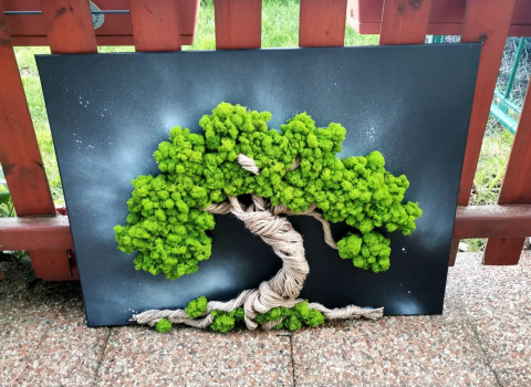 Mechový obraz, bonsaj, 60x80 dekorace obraz zelený bonsaj strom života mechový obraz sobí mech mechová dekorace mechový strom 