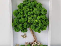 Mechové hodiny 50 cm