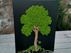 Mechový strom života, 30 cm