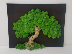 Strom života, 40 cm