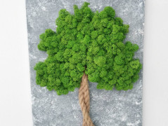 Mechové hodiny 50 cm