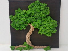 Mechové hodiny 50 cm