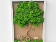 Mechové hodiny 50 cm