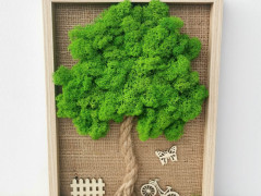 Mechové hodiny 50 cm