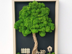 Mechové hodiny 50 cm