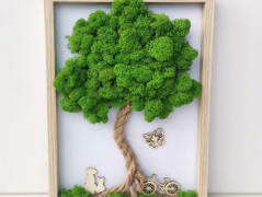 Mechové hodiny 50 cm