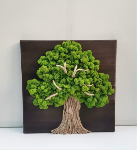 Mechový obraz, strom života, 40x40 obraz obrázek strom života sobí mech mechová dekorace mechový strom 