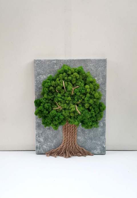 Mechový obraz, strom, 30x40 obraz mech strom života mechová dekorace mechový strom 
