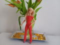 Barbie - overal pro panenku